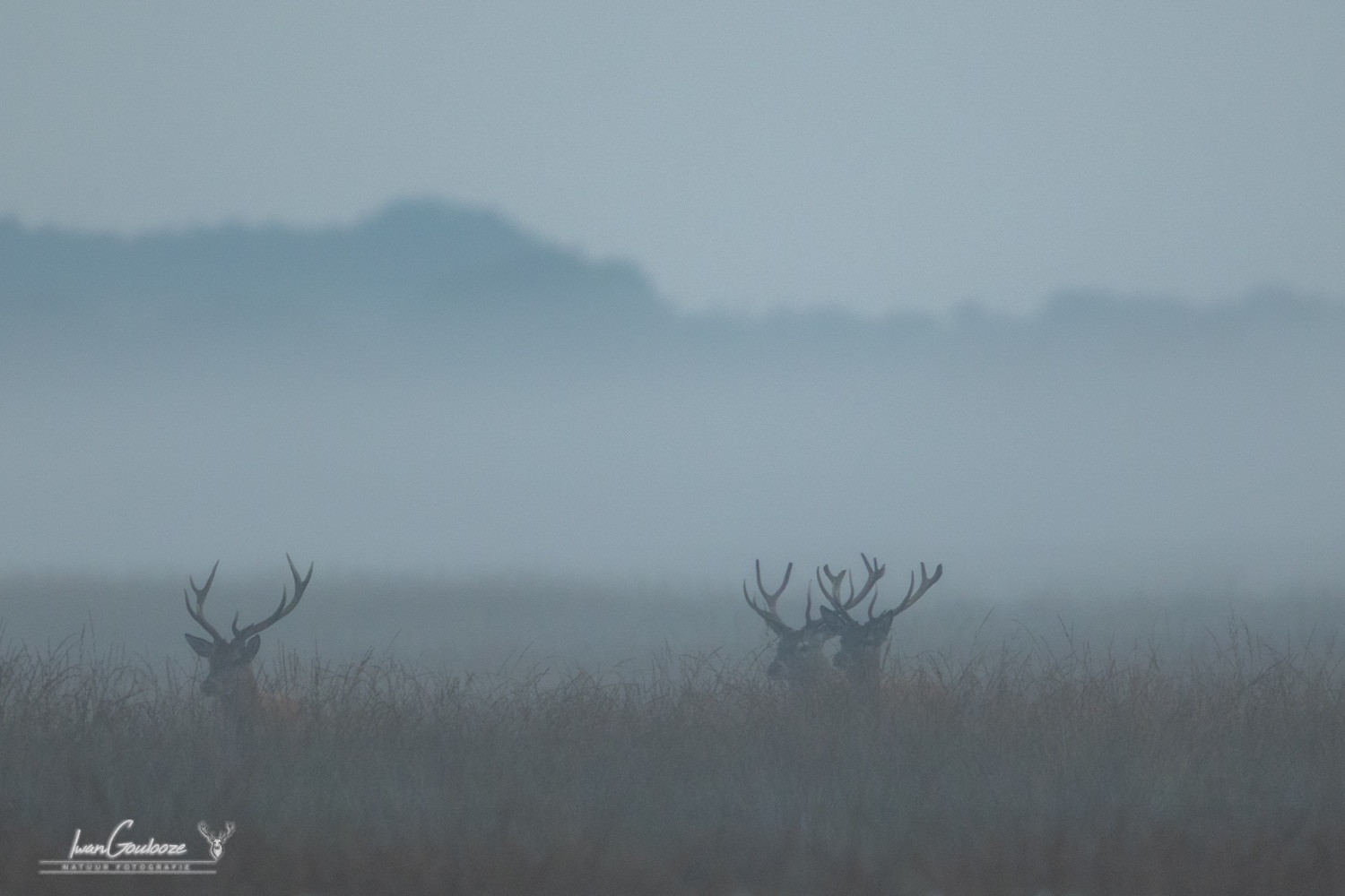 17 september 2023 193036  R2A5447